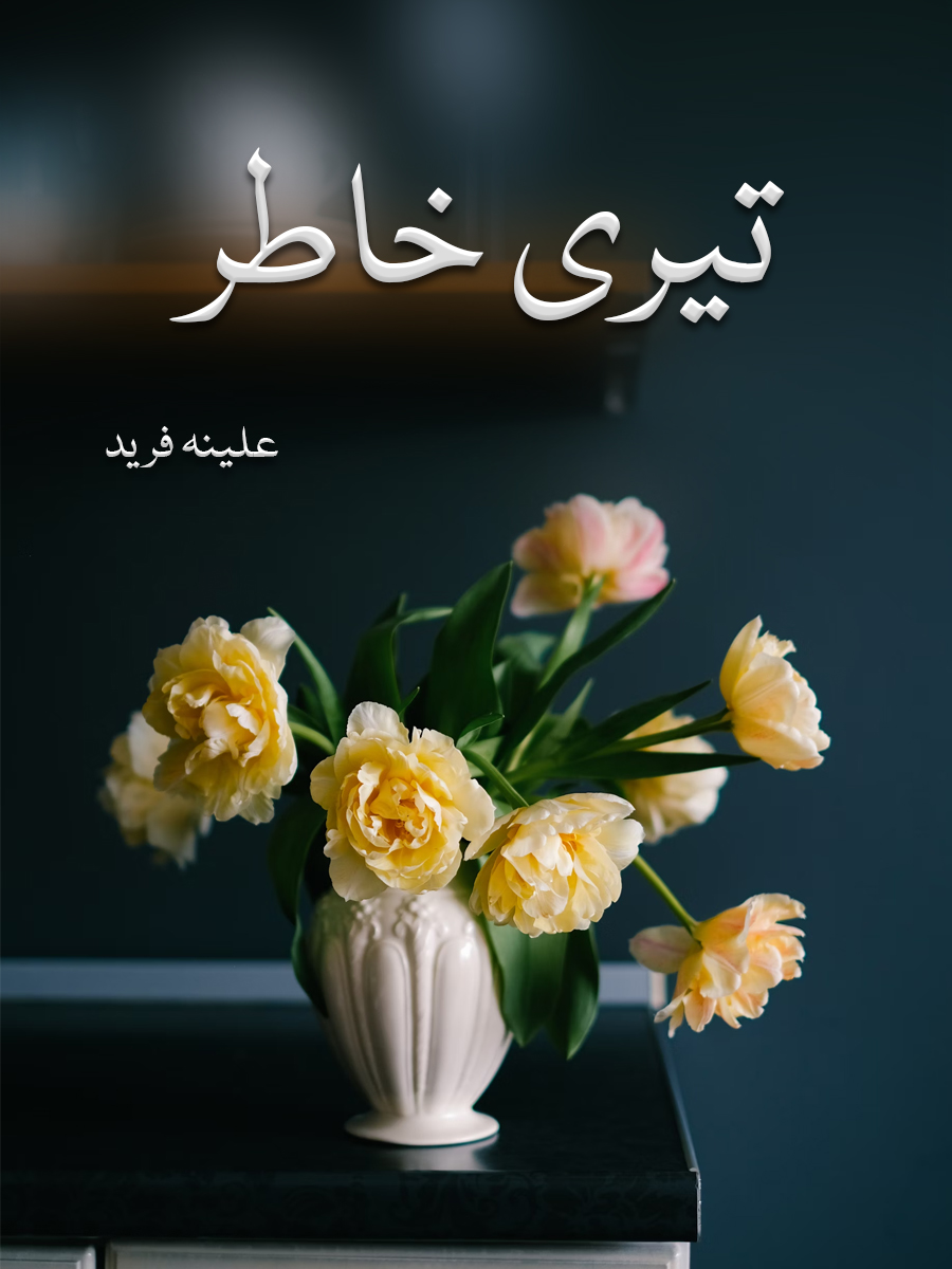 Teri Khaatir Complete Novel By Aleena Farid