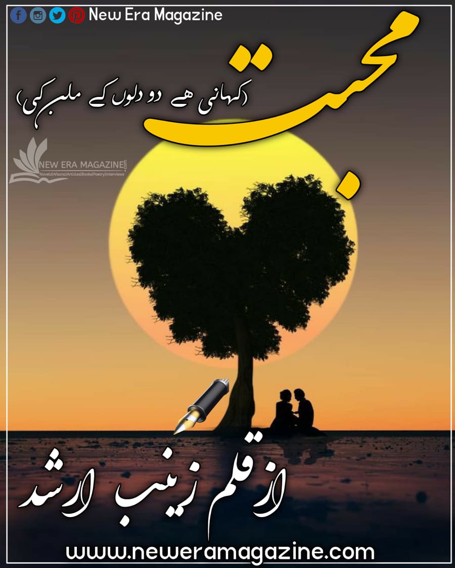 Mohabbat Kahani Hai Do Dilon Kay Milan Ki By Zainab Arshad Complete