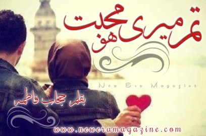 Tum Meri Mohabbat Ho By Hijab Fatima Complete 